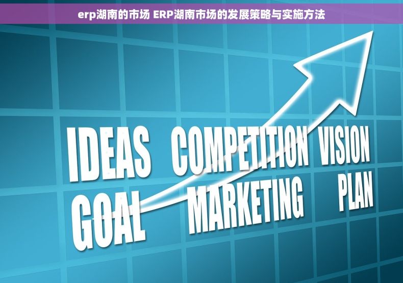 erp湖南的市场 ERP湖南市场的发展策略与实施方法