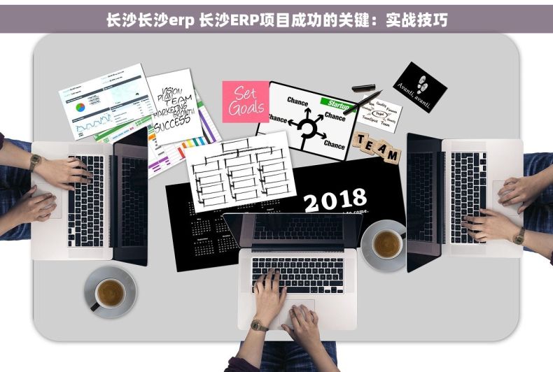 长沙长沙erp 长沙ERP项目成功的关键：实战技巧