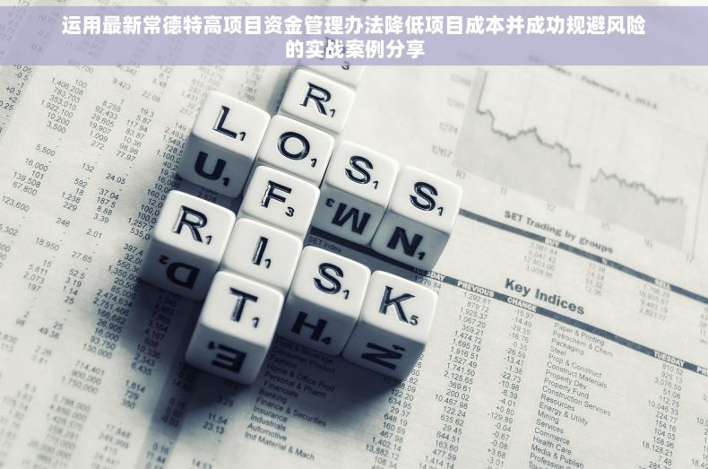 运用最新常德特高项目资金管理办法降低项目成本并成功规避风险的实战案例分享