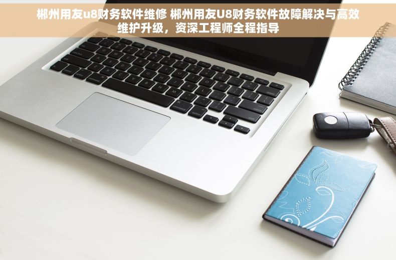 郴州用友u8财务软件维修 郴州用友U8财务软件故障解决与高效维护升级，资深工程师全程指导