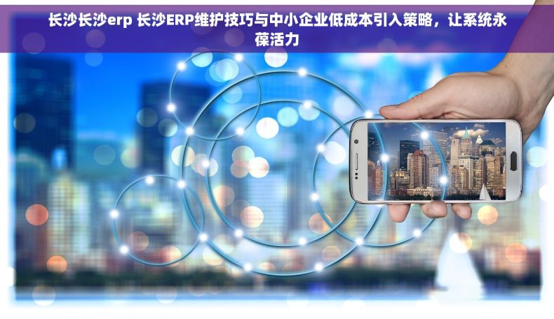 长沙长沙erp 长沙ERP维护技巧与中小企业低成本引入策略，让系统永葆活力