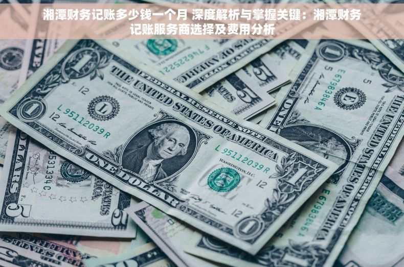 湘潭财务记账多少钱一个月 深度解析与掌握关键：湘潭财务记账服务商选择及费用分析