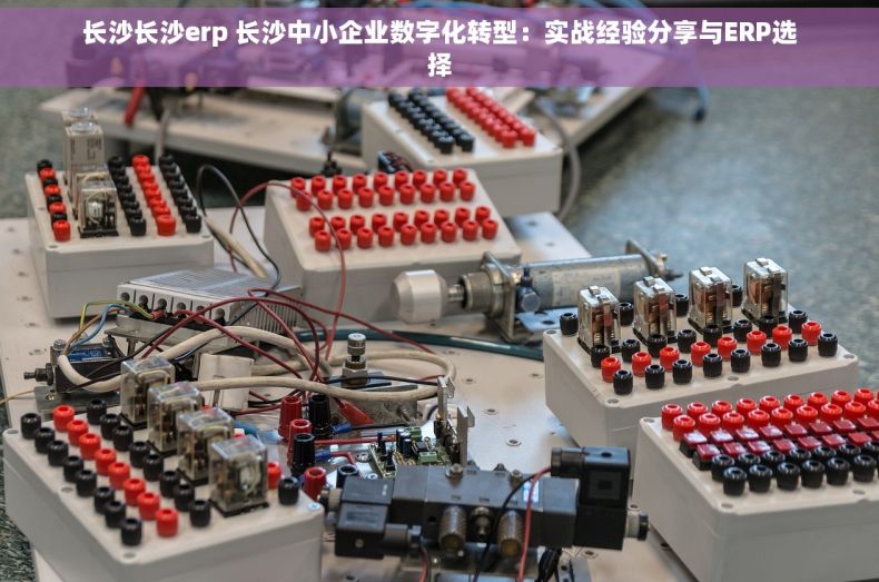 长沙长沙erp 长沙中小企业数字化转型：实战经验分享与ERP选择