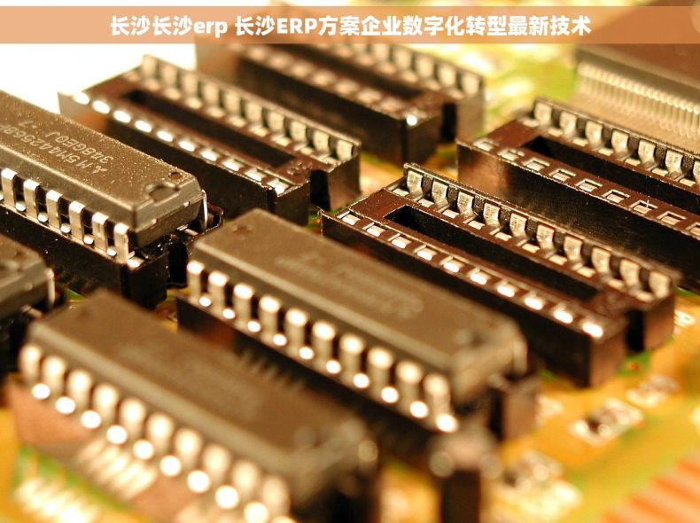 长沙长沙erp 长沙ERP方案企业数字化转型最新技术