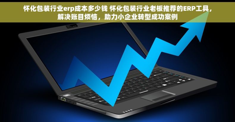 怀化包装行业erp成本多少钱 怀化包装行业老板推荐的ERP工具，解决账目烦恼，助力小企业转型成功案例