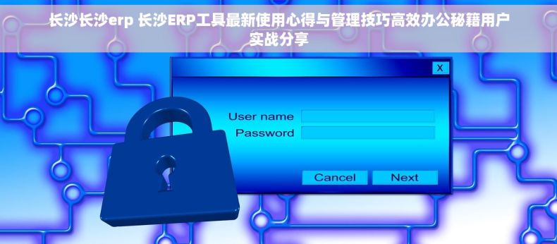 长沙长沙erp 长沙ERP工具最新使用心得与管理技巧高效办公秘籍用户实战分享