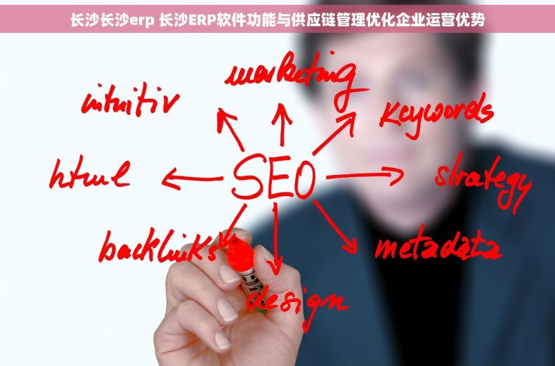 长沙长沙erp 长沙ERP软件功能与供应链管理优化企业运营优势