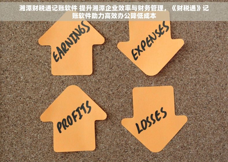 湘潭财税通记账软件 提升湘潭企业效率与财务管理，《财税通》记账软件助力高效办公降低成本