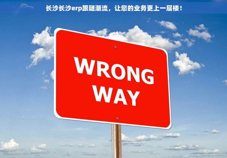 长沙长沙erp跟随潮流，让您的业务更上一层楼！