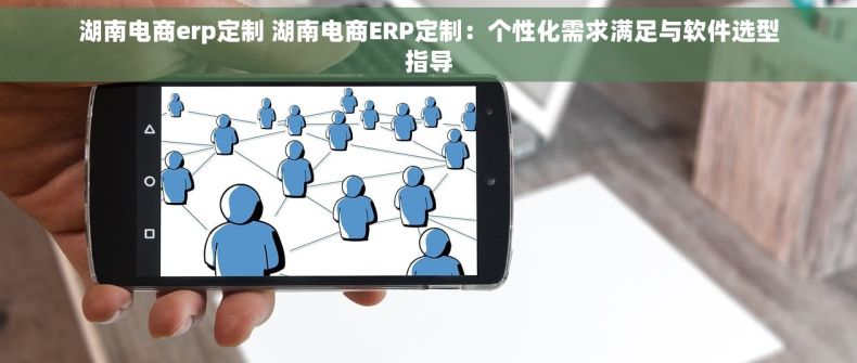 湖南电商erp定制 湖南电商ERP定制：个性化需求满足与软件选型指导