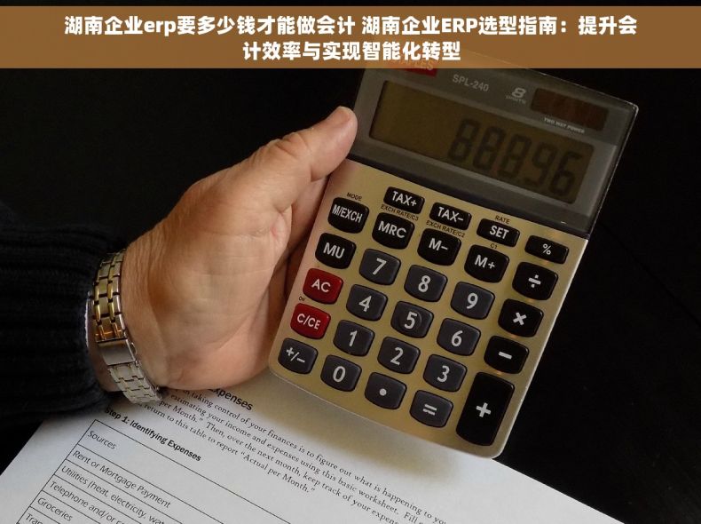 湖南企业erp要多少钱才能做会计 湖南企业ERP选型指南：提升会计效率与实现智能化转型