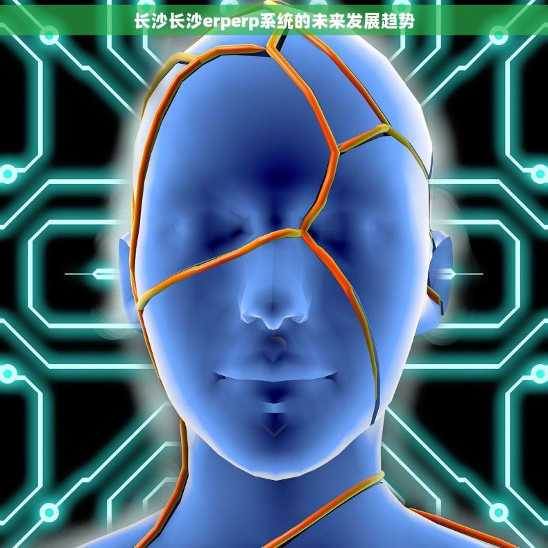 长沙长沙erperp系统的未来发展趋势