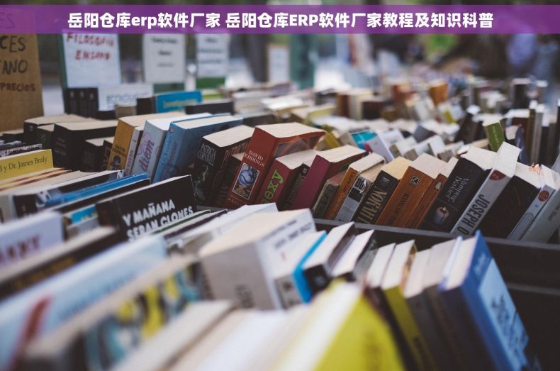 岳阳仓库erp软件厂家 岳阳仓库ERP软件厂家教程及知识科普