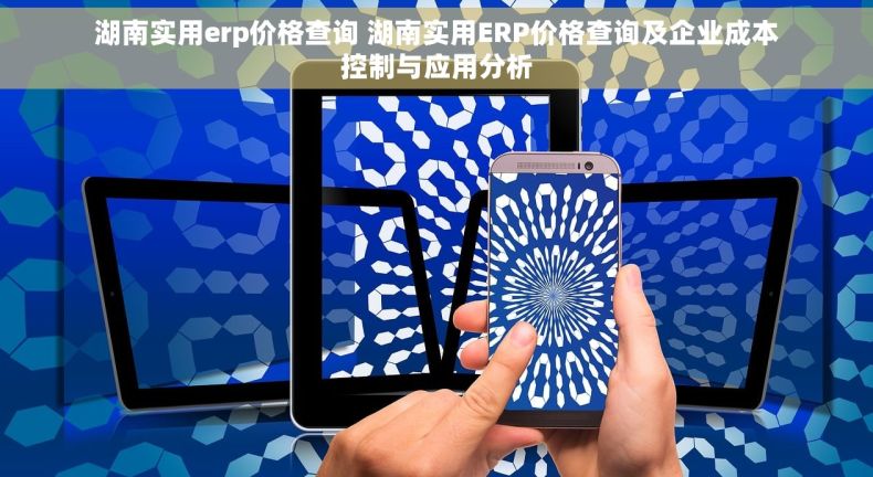 湖南实用erp价格查询 湖南实用ERP价格查询及企业成本控制与应用分析