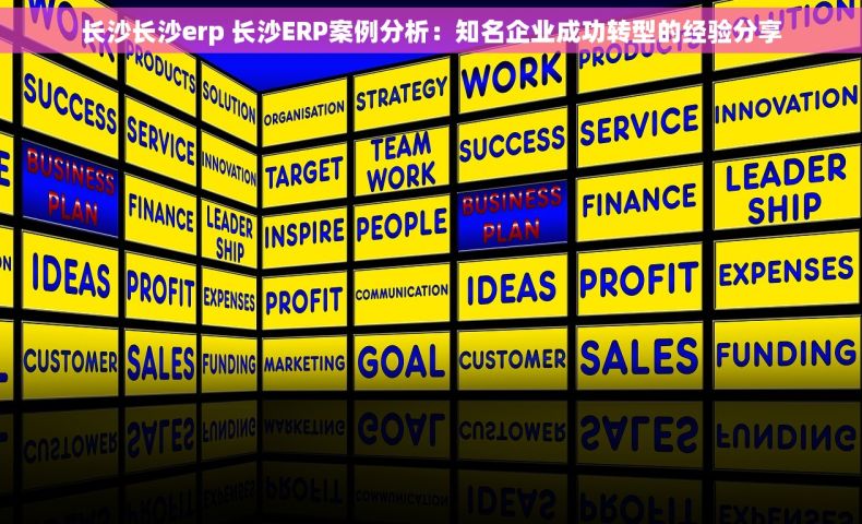 长沙长沙erp 长沙ERP案例分析：知名企业成功转型的经验分享