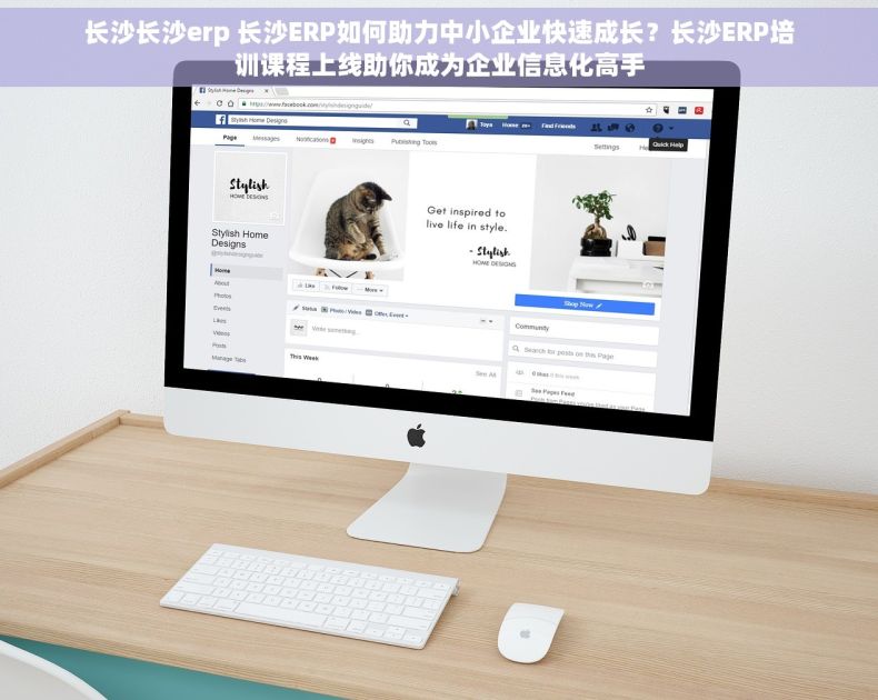 长沙长沙erp 长沙ERP如何助力中小企业快速成长？长沙ERP培训课程上线助你成为企业信息化高手