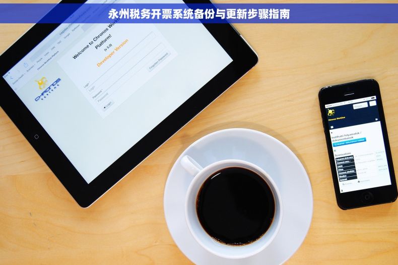 永州税务开票系统备份与更新步骤指南