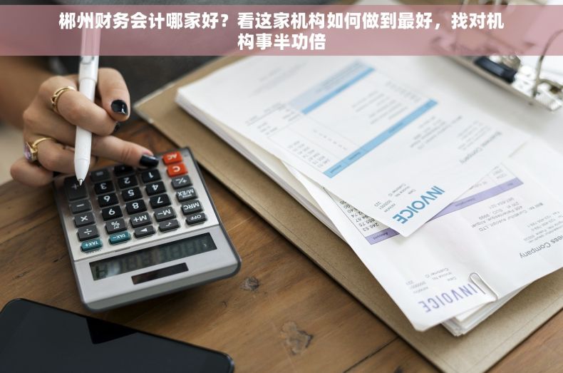 郴州财务会计哪家好？看这家机构如何做到最好，找对机构事半功倍