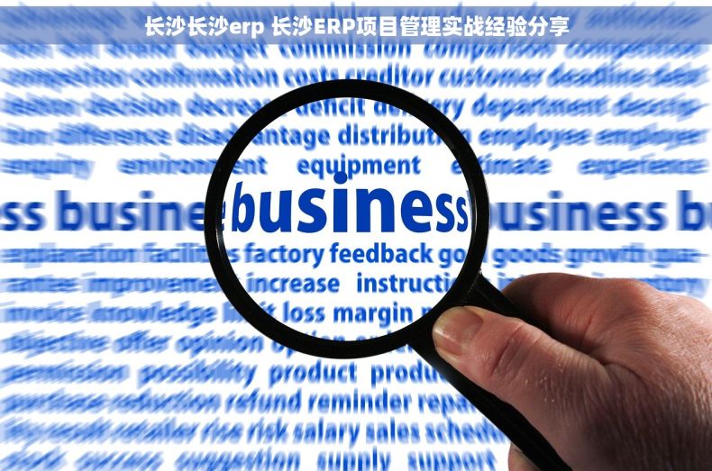 长沙长沙erp 长沙ERP项目管理实战经验分享