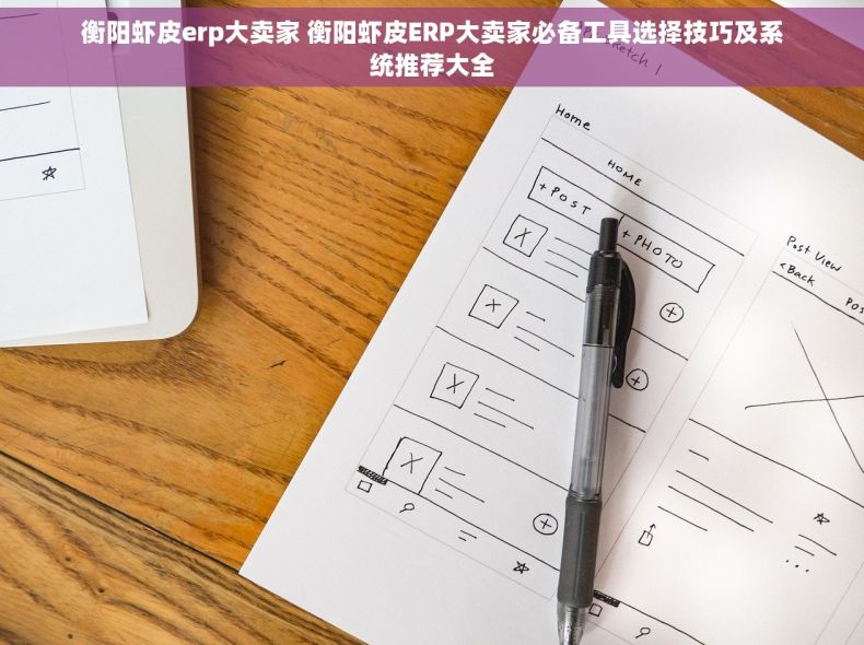 衡阳虾皮erp大卖家 衡阳虾皮ERP大卖家必备工具选择技巧及系统推荐大全