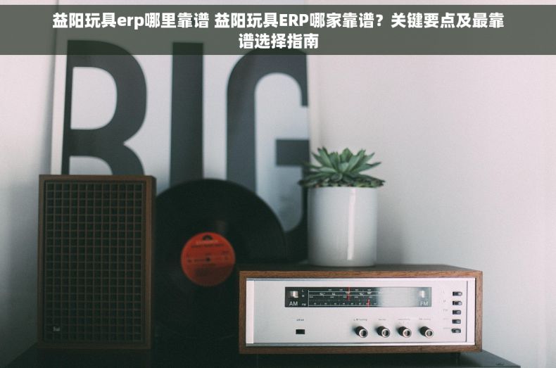 益阳玩具erp哪里靠谱 益阳玩具ERP哪家靠谱？关键要点及最靠谱选择指南
