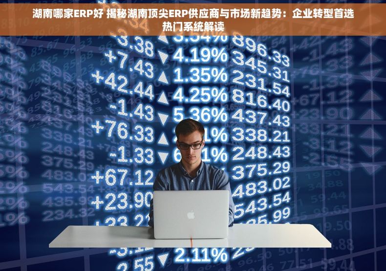 湖南哪家ERP好 揭秘湖南顶尖ERP供应商与市场新趋势：企业转型首选热门系统解读