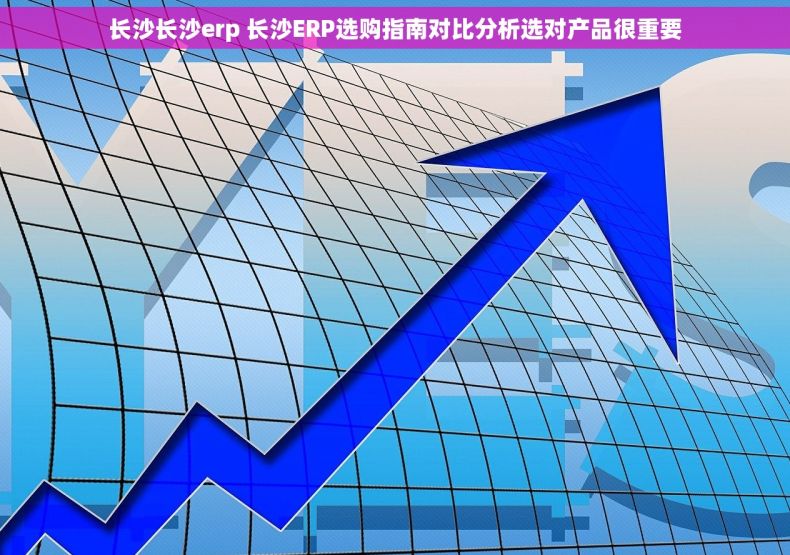 长沙长沙erp 长沙ERP选购指南对比分析选对产品很重要