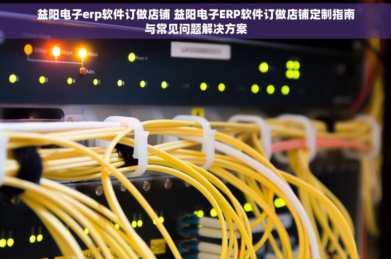 益阳电子erp软件订做店铺 益阳电子ERP软件订做店铺定制指南与常见问题解决方案