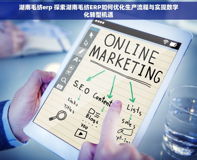 湖南毛纺erp 探索湖南毛纺ERP如何优化生产流程与实现数字化转型机遇
