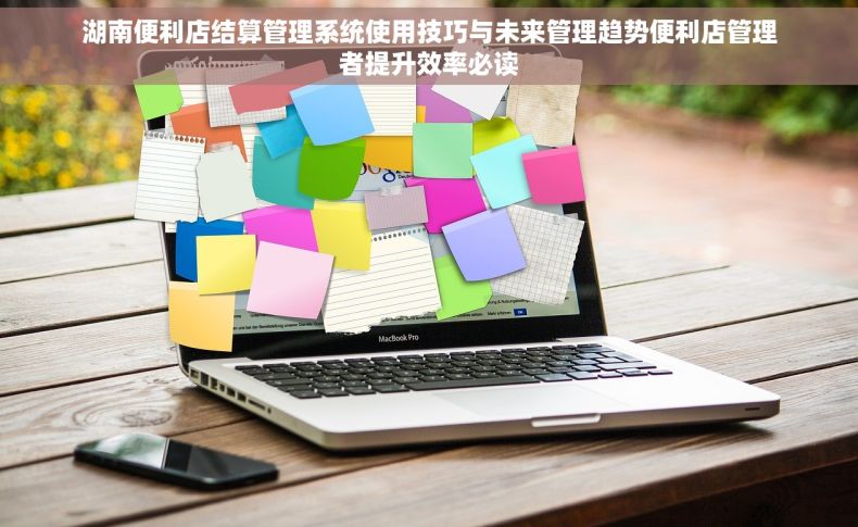 湖南便利店结算管理系统使用技巧与未来管理趋势便利店管理者提升效率必读