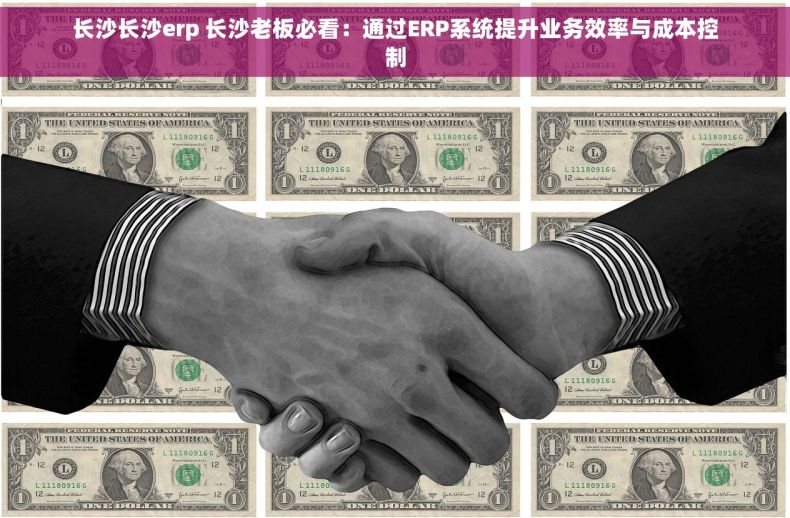 长沙长沙erp 长沙老板必看：通过ERP系统提升业务效率与成本控制