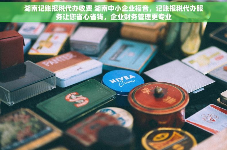 湖南记账报税代办收费 湖南中小企业福音，记账报税代办服务让您省心省钱，企业财务管理更专业