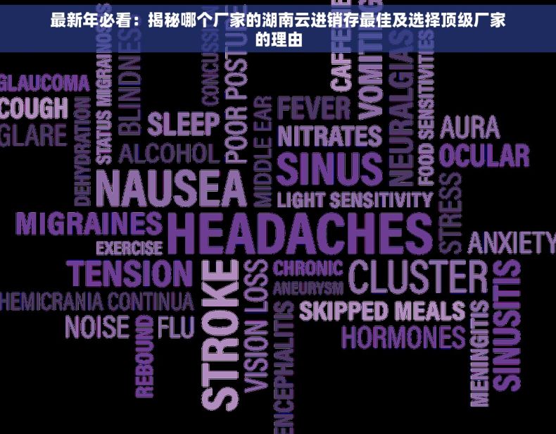 最新年必看：揭秘哪个厂家的湖南云进销存最佳及选择顶级厂家的理由