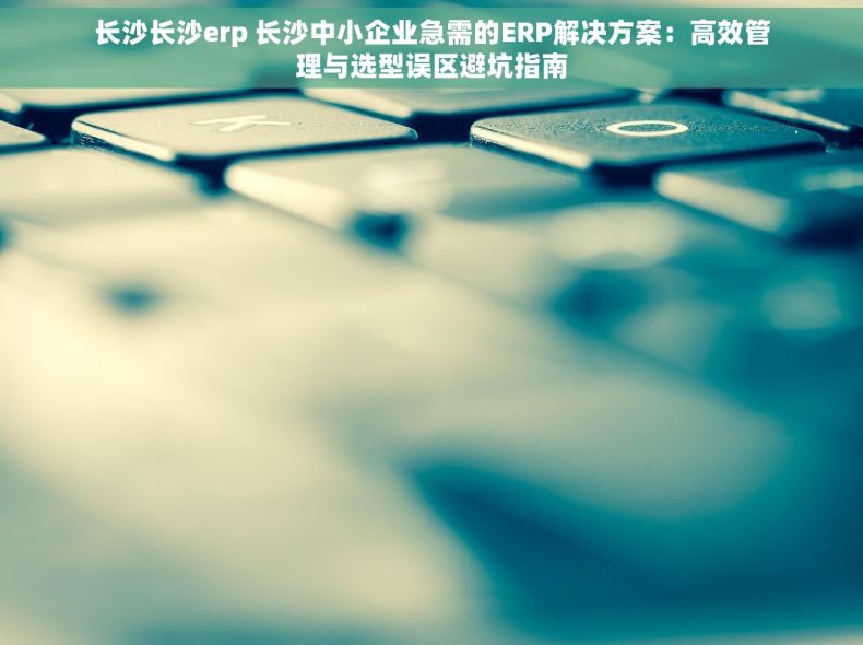长沙长沙erp 长沙中小企业急需的ERP解决方案：高效管理与选型误区避坑指南