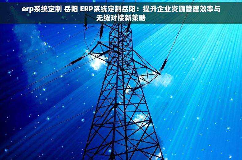 erp系统定制 岳阳 ERP系统定制岳阳：提升企业资源管理效率与无缝对接新策略