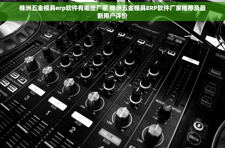 株洲五金模具erp软件有哪些厂家 株洲五金模具ERP软件厂家推荐及最新用户评价