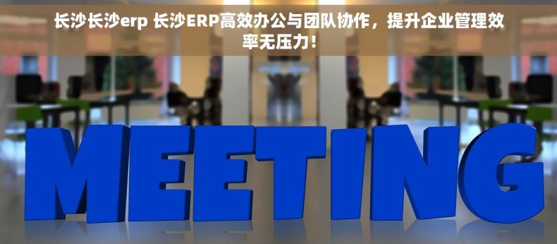 长沙长沙erp 长沙ERP高效办公与团队协作，提升企业管理效率无压力！