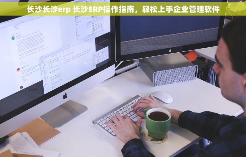 长沙长沙erp 长沙ERP操作指南，轻松上手企业管理软件