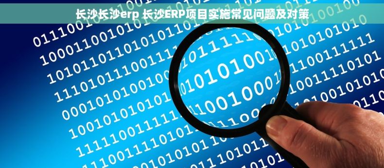 长沙长沙erp 长沙ERP项目实施常见问题及对策
