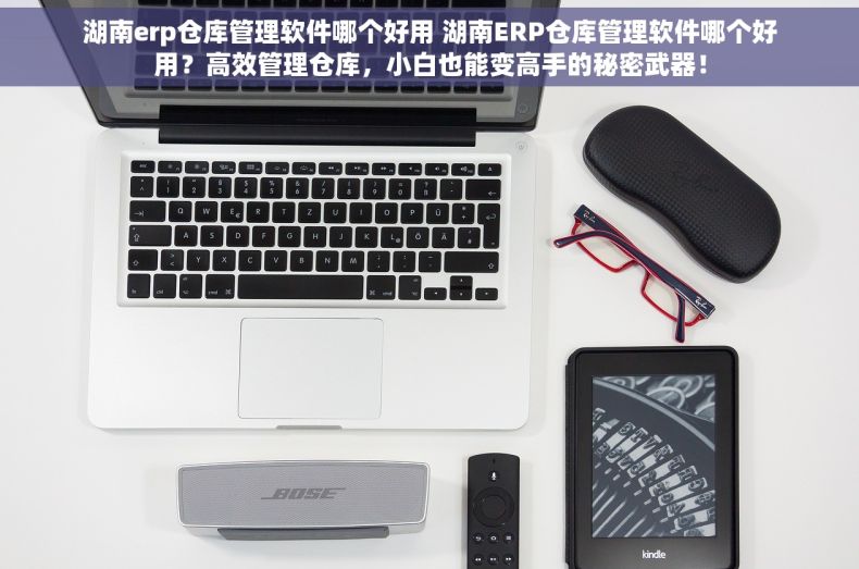 湖南erp仓库管理软件哪个好用 湖南ERP仓库管理软件哪个好用？高效管理仓库，小白也能变高手的秘密武器！