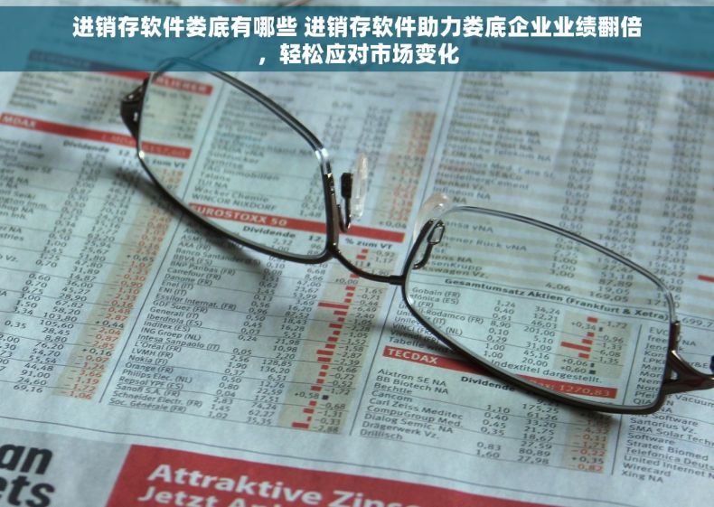 进销存软件娄底有哪些 进销存软件助力娄底企业业绩翻倍，轻松应对市场变化