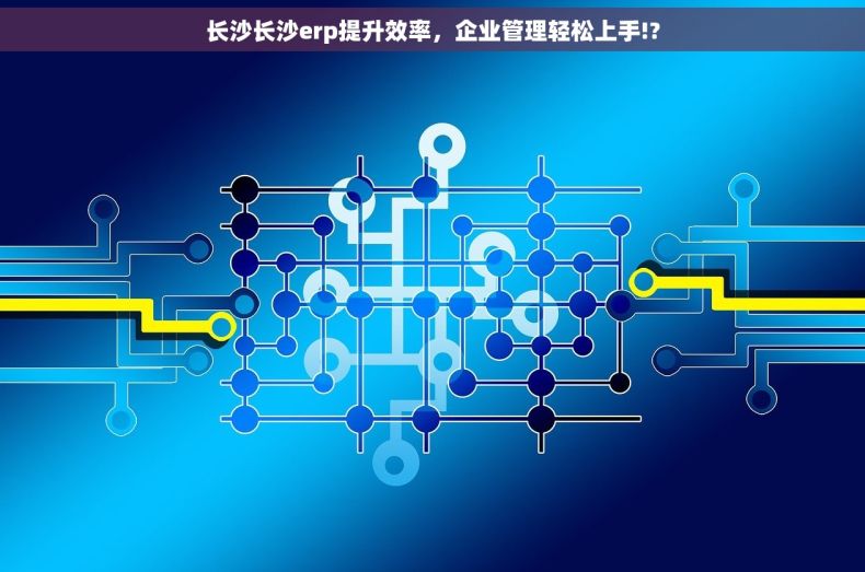 长沙长沙erp提升效率，企业管理轻松上手!?