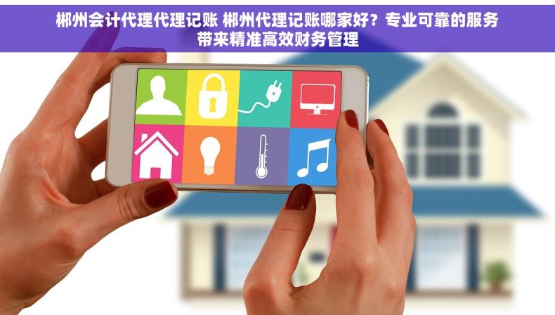 郴州会计代理代理记账 郴州代理记账哪家好？专业可靠的服务带来精准高效财务管理