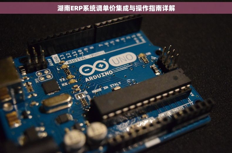 湖南ERP系统调单价集成与操作指南详解
