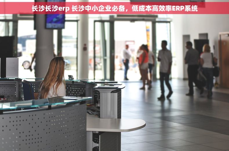长沙长沙erp 长沙中小企业必备，低成本高效率ERP系统