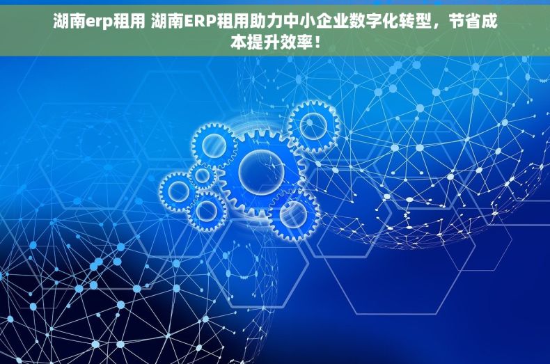 湖南erp租用 湖南ERP租用助力中小企业数字化转型，节省成本提升效率！