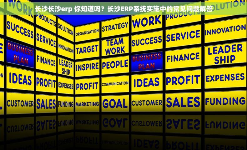 长沙长沙erp 你知道吗？长沙ERP系统实施中的常见问题解答