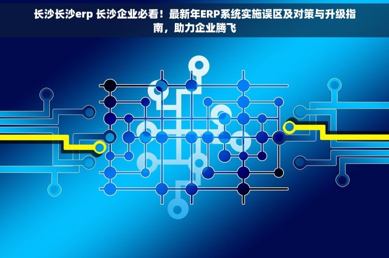 长沙长沙erp 长沙企业必看！最新年ERP系统实施误区及对策与升级指南，助力企业腾飞