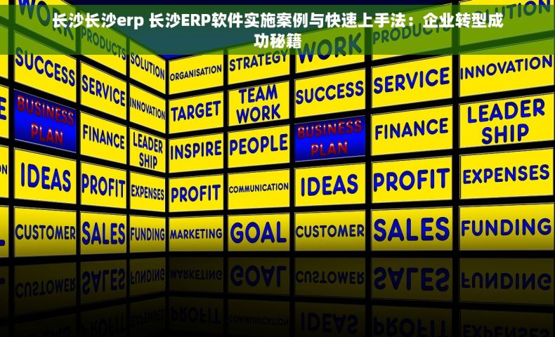 长沙长沙erp 长沙ERP软件实施案例与快速上手法：企业转型成功秘籍