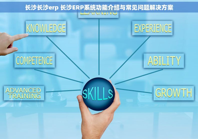 长沙长沙erp 长沙ERP系统功能介绍与常见问题解决方案